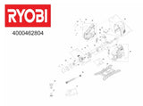 RYOBI R18TP CORDLESS TRANSFER PUMP